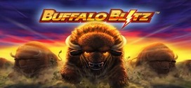 buffalo blitz